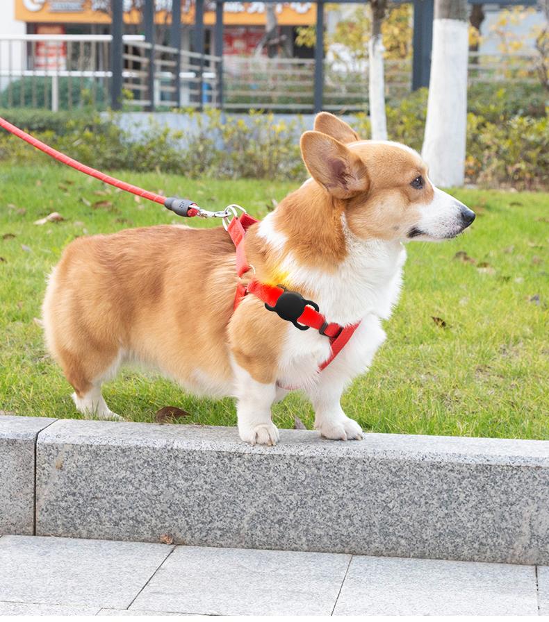AirTag Case for Pet Collars